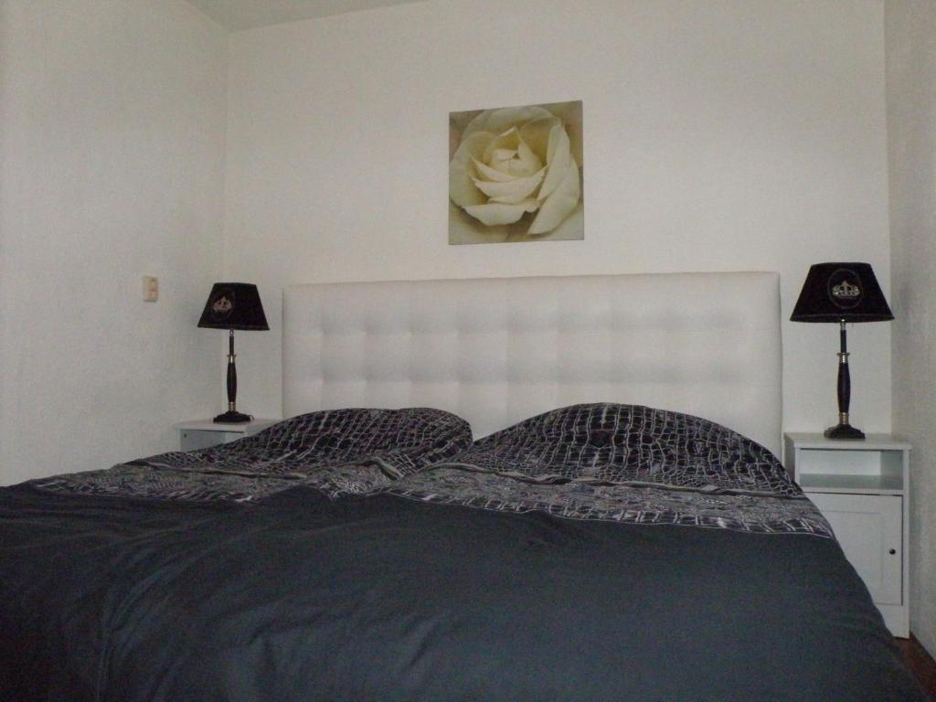 Apartment Seastar 잔드보르트 객실 사진